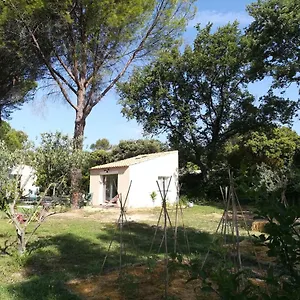 Nature Au Pied Du Luberon Saint-Martin-de-la-Brasque